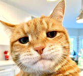 1726254918280.png